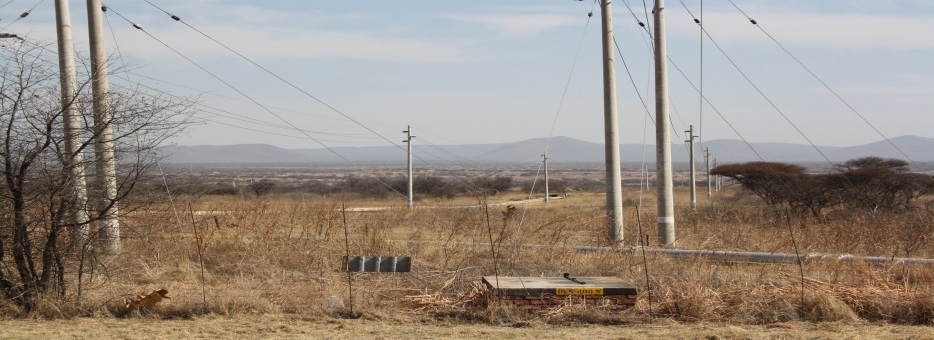 limpopo 144 (3)